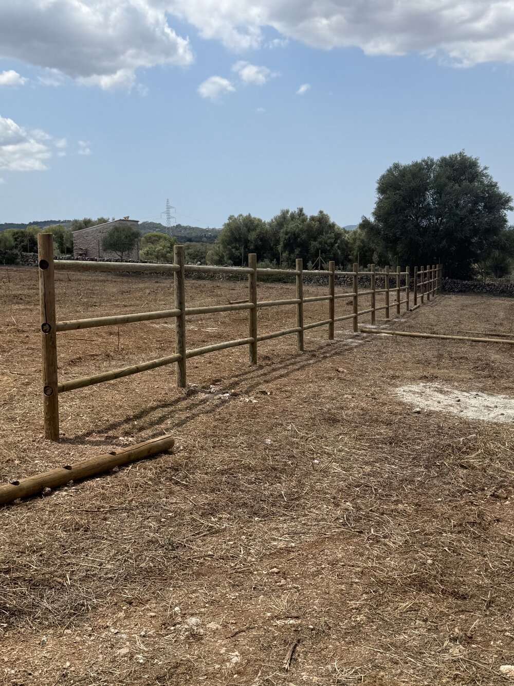 Vallado perimetral de madera en un paddock dentro de un olivar
