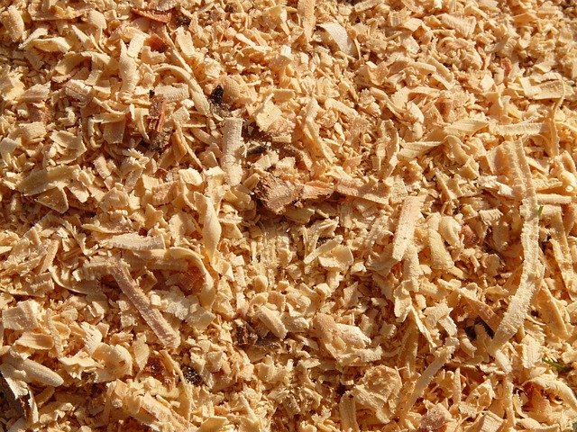 Viruta premium 100% para animales y jardin, PUBLIAGROIVERD